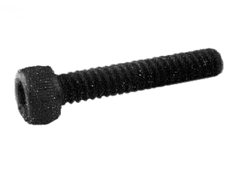 Rotary # 3252 SOCKET SCREW 1/4-20 X 1/2" ASSORTMENT REFILLS  Pack of 10