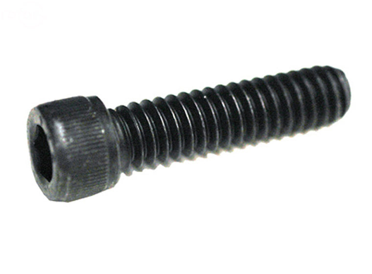 Rotary # 3255 SOCKET SCREW 1/4-20 X 1" ASSORTMENT REFILLS  Pack of 10