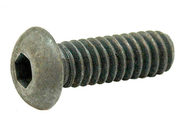 Rotary # 5517 SCRAPER BAR BOLTS SNOWBLOWER Pack of 10